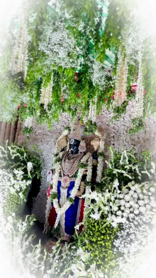 Instagram post from surya_decor_events. This post is in position 1.